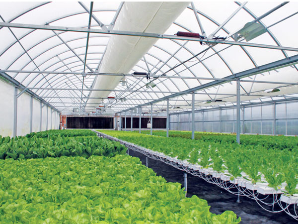 4g-wireless-real-time-data-logger-for-greenhouse-environmental-monitoring1.jpg