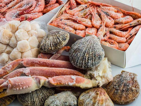 نقل الأغذية المجمدة مع مسجل بيانات درجة الحرارة USB للاستخدام مرة واحدة، قابل للتخصيص