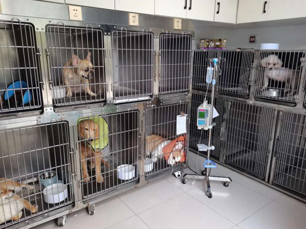 مسجل بيانات درجة الحرارة بتقني