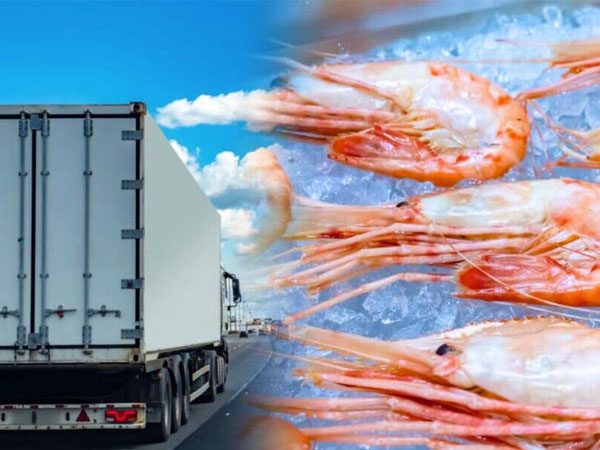 مسجل بيانات درجة الحرارة Fresh