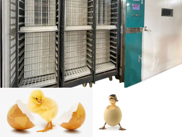 مستشعر بلوتوث لقياس درجة الحرا