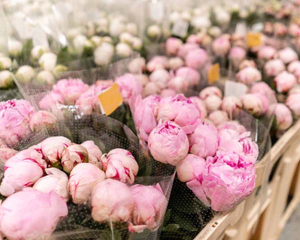 نظام مراقبة بيئية فورية بتقنية