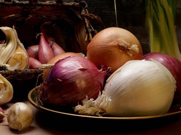usb-temperature-data-logger-for-shallot-onion-and-garlic-export1.jpg