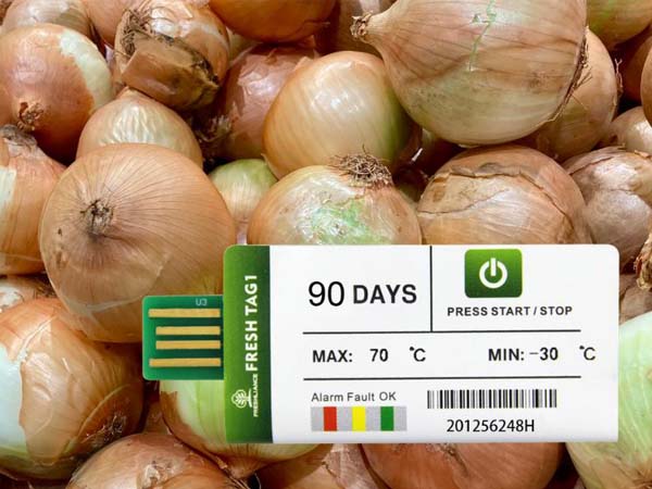 usb-temperature-data-logger-for-shallot-onion-and-garlic-export2.jpg