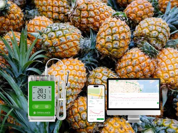 كيف يُحدث جهاز Fresh Tracker 1