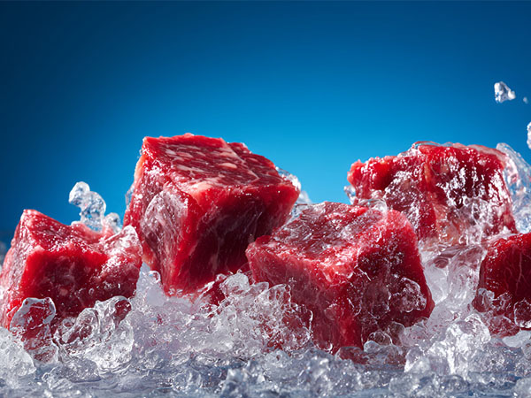 real-time-temperature-monitoring-solution-for-meat-cold-chain-transport1.jpg