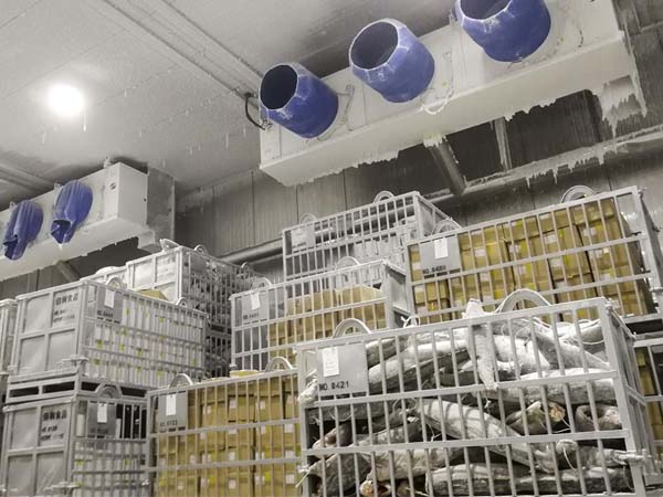 dry-ice-temperature-monitor-for-ultra-low-temperature-food-storage1.jpg